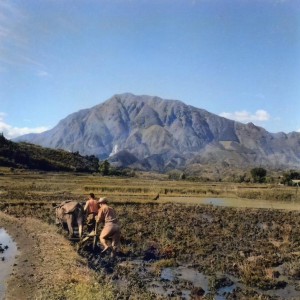 昭和25年の武甲山 昭和25年の武甲山