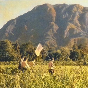 昭和25年の武甲山 昭和25年の武甲山