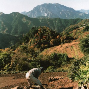 昭和61年の武甲山