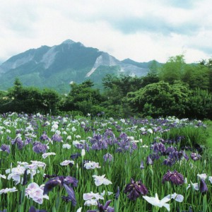 平成5年の武甲山