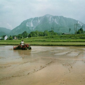 平成6年の武甲山
