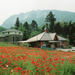 平成8年の武甲山