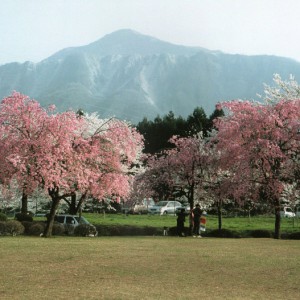 平成13年の武甲山