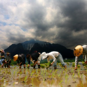 平成19年の武甲山