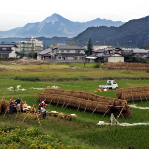 平成16年の武甲山