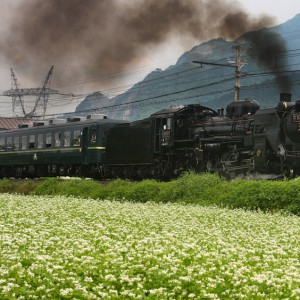 平成20年の武甲山