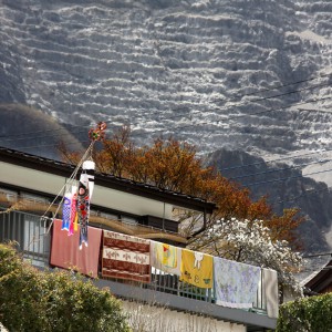 平成20年の武甲山