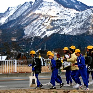 平成20年の武甲山